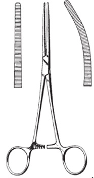 Peang Rochester-Pean