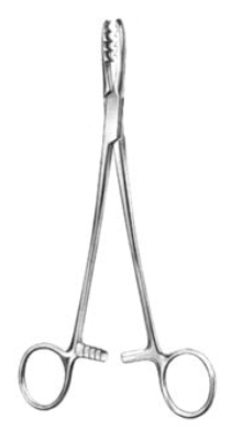 Tång Bircher-Ganske