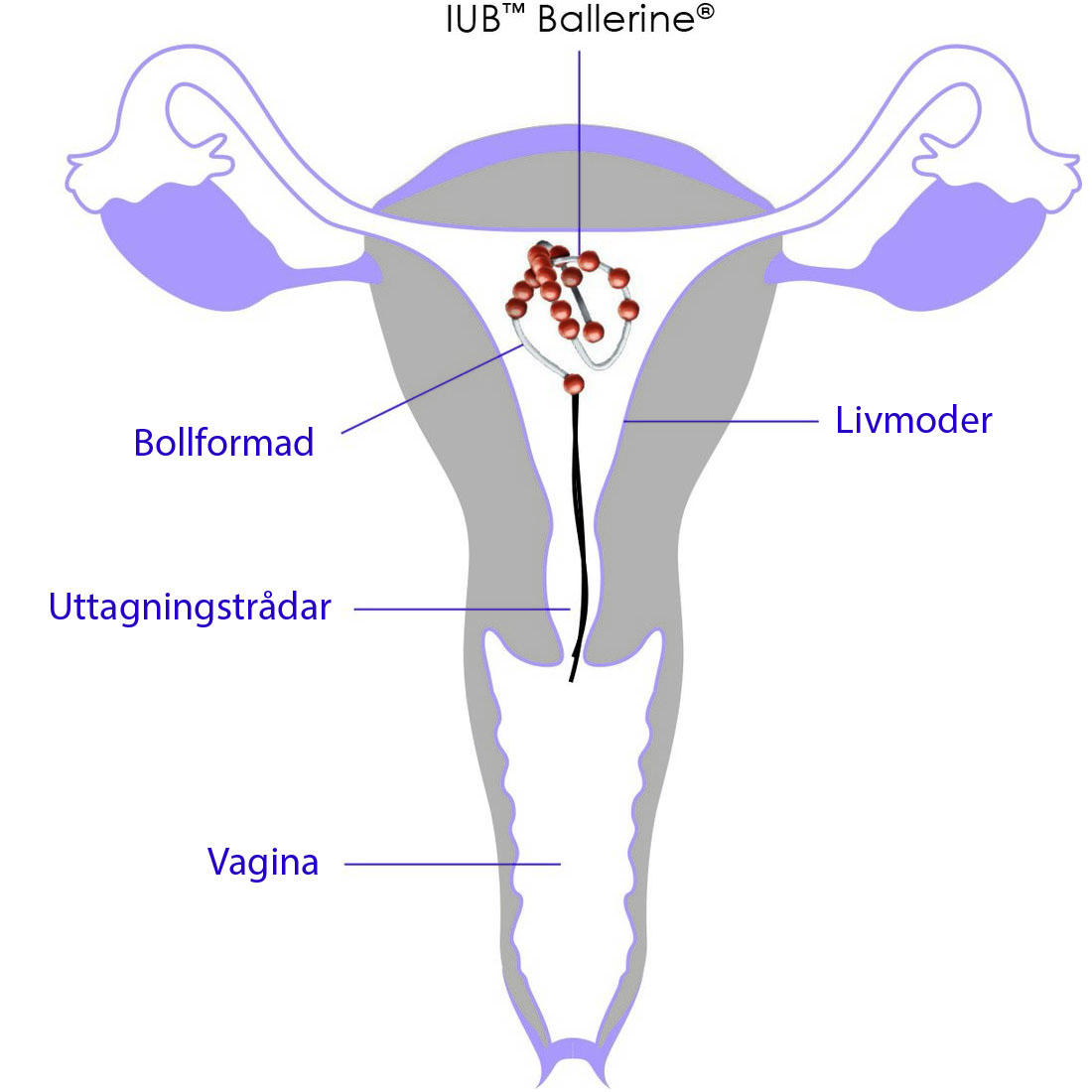 Ballerine pärlspiralen